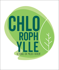 Logo chlorophylle AMO